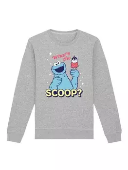 Толстовка F4NT4STIC Sweatshirt Sesamstrae Cookie Monster Scoop, пятнистый серый