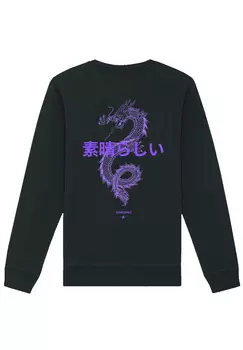Толстовка F4NT4STIC Unisex Drache Japan, черный