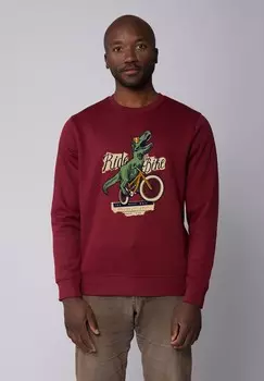 Толстовка FAHRRAD watapparel, темно-красный