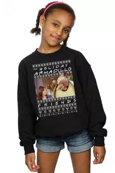 Толстовка Fair Isle Holiday Armadillo Friends, черный