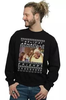 Толстовка Fair Isle Holiday Armadillo Friends, черный