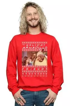 Толстовка Fair Isle Holiday Armadillo Friends, красный