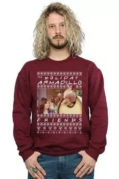 Толстовка Fair Isle Holiday Armadillo Friends, красный