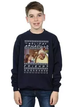 Толстовка Fair Isle Holiday Armadillo Friends, темно-синий