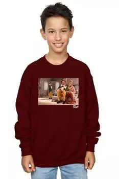 Толстовка Family Shot Elf, красный