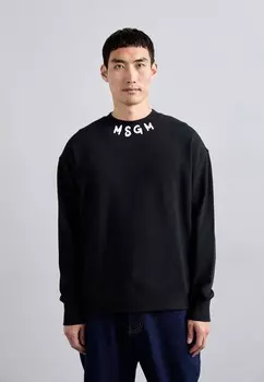 Толстовка FELPA MSGM, черный