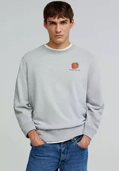 Толстовка FRUITS Scalpers, светло-серый