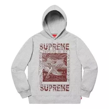 Толстовка fw19 week 2 doves hooded sweatshirt Supreme, серый