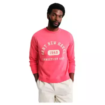 Толстовка Gant 2067038, розовый