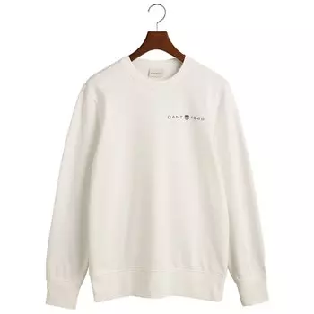 Толстовка Gant Printed Graphic, бежевый