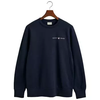 Толстовка Gant Printed Graphic, синий