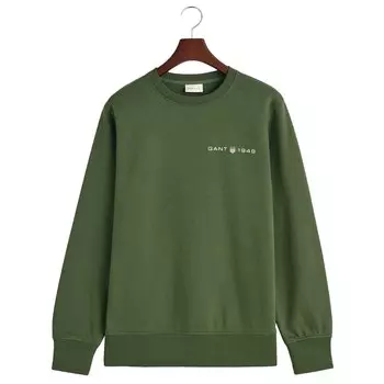 Толстовка Gant Printed Graphic, зеленый