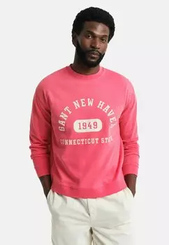 Толстовка GANT, светло-красный