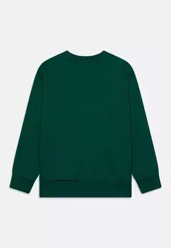 Толстовка GRAPHIC CREWNECK UNISEX Champion, зеленый