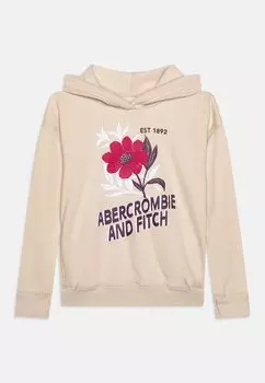 Толстовка Graphic Logo Popover Hoodie Abercrombie & Fitch
