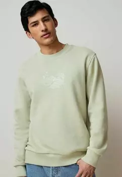 Толстовка GRAPHIC-REGULAR FIT con cappuccio Next, зеленый