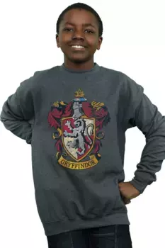 Толстовка Гриффиндора Harry Potter, серый