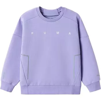 Толстовка GS Puma, фиолетовый