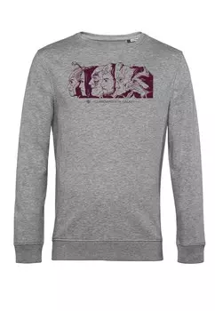 Толстовка GUARDIANS OF THE GALAXY VOL 3 COLOR COORDINATED GUADRIANS Marvel, цвет Mottled Light Grey