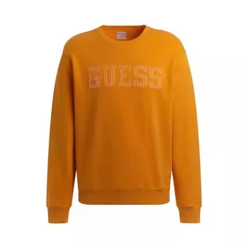 Толстовка Guess Beau, коричневый