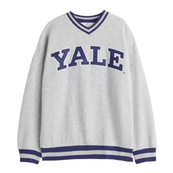 Толстовка H&amp;M Motiv Yale, светло-серый