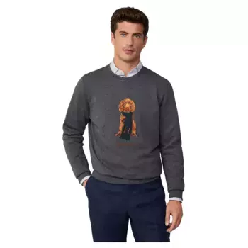 Толстовка Hackett Harry, серый