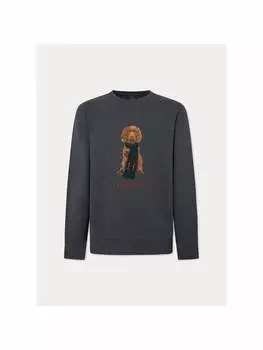 Толстовка Hackett London, серый