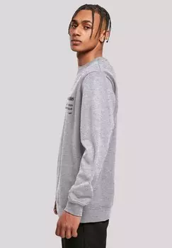 Толстовка HAPPINESS CREWNECK F4NT4STIC, серый