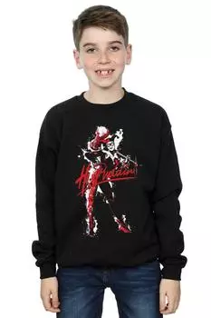 Толстовка Harley Quinn Hi Puddin DC Comics, черный