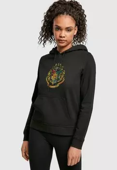 Толстовка HARRY POTTER DISTRESSED HOGWARTS CRE ABSOLUTE CULT, черный