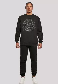 Толстовка HARRY POTTER GRYFFINDOR SEAL F4NT4STIC, черный