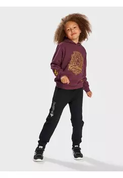 Толстовка HARRY POTTER Hummel, цвет catawba grape