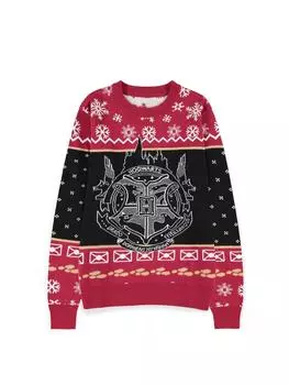 Толстовка Harry Potter, разноцветный