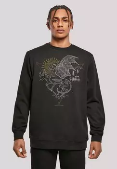 Толстовка HARRY POTTER THESTRAL LINE ART F4NT4STIC, черный