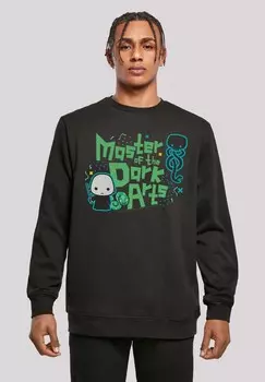 Толстовка HARRY POTTER VOLDEMORT DARK ARTS F4NT4STIC, черный