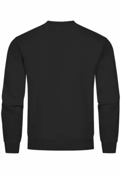 Толстовка HAWAII PALME USA TROPICAL RUNDHALS-FASHION STREETWEAR Neverless, темно-серый