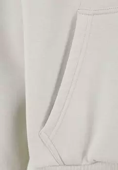 Толстовка HEAVY PUFFER LOGO BACKPRINT Dropsize, цвет quitegrey