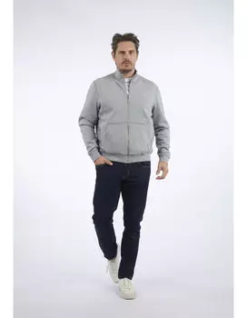 Толстовка HECHTER PARIS, серебряный