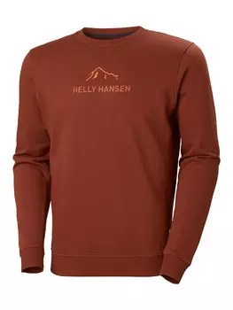 Толстовка Helly Hansen F2F, светло-коричневый