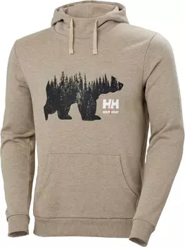 Толстовка Helly Hansen Hoodie Logo Hoodie, коричневый