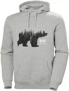 Толстовка Helly Hansen Hoodie, серый