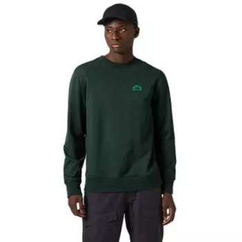 Толстовка Helly Hansen Nord Graphic, зеленый