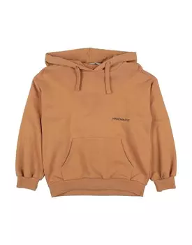 Толстовка Hinnominate, коричневый