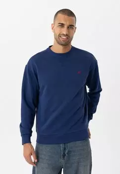 Толстовка HOLMAN Williot, светло-голубой