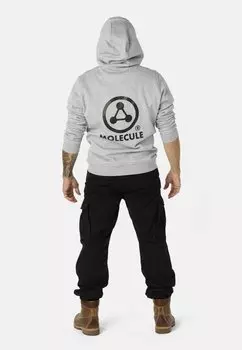 Толстовка Hoodie Molecule, серый