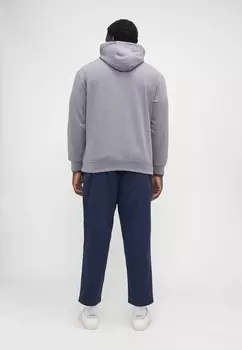 Толстовка HOODY Tommy Hilfiger, серый