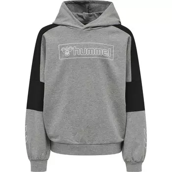 Толстовка Hummel BOXLINE, серый