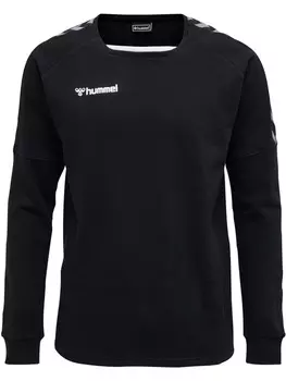 Толстовка Hummel Hmlauthentic Training Sweat, черный