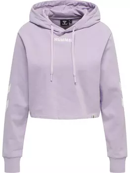 Толстовка Hummel Hoodie Hmllegacy Woman Cropped Hoodie, цвет PASTEL LILAC
