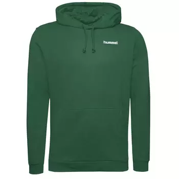 Толстовка Hummel Kapuzenpullover Legacy Gabe, цвет gruen